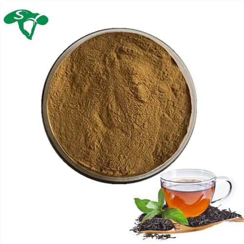 Black Tea Extract Powder